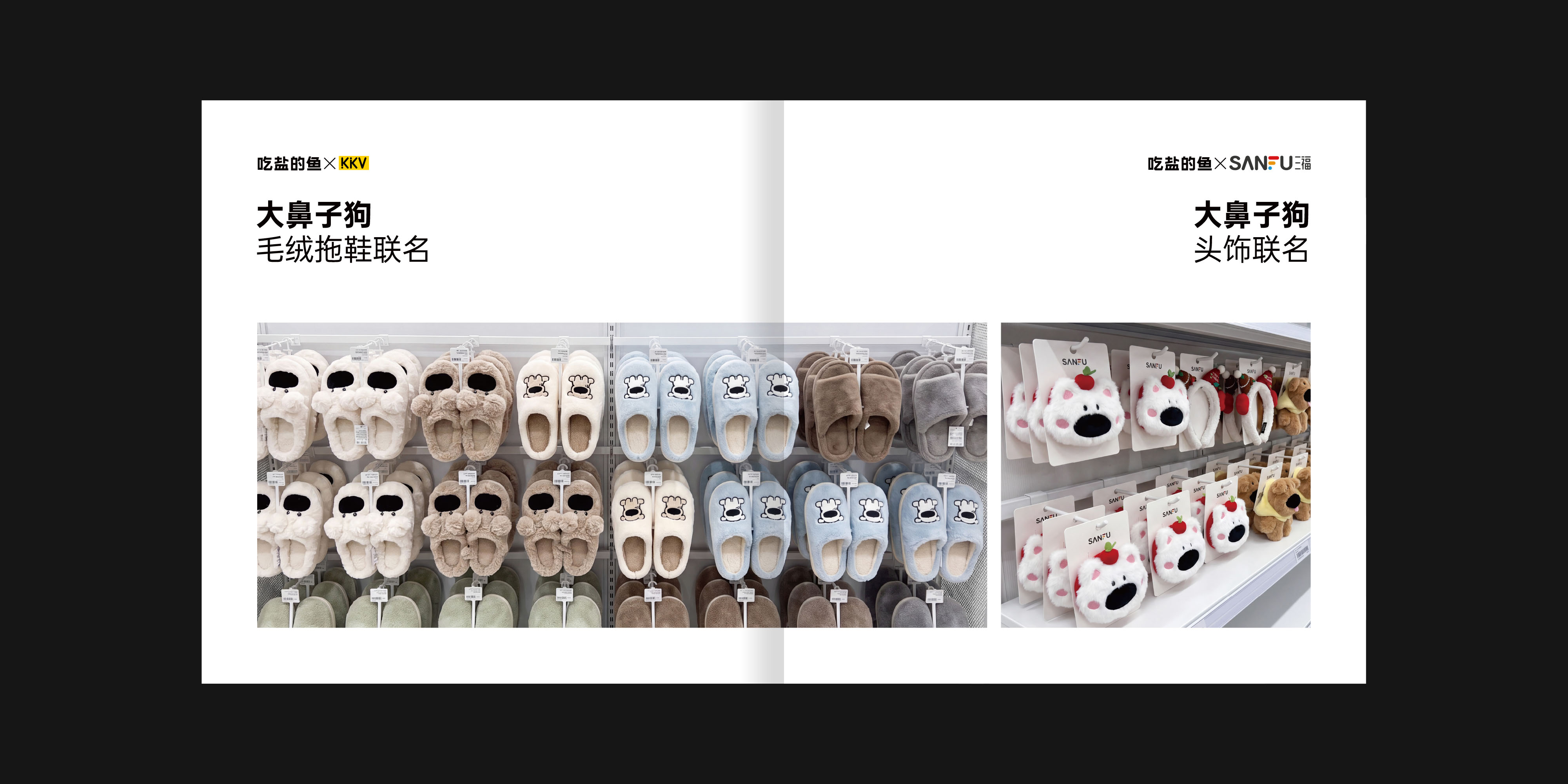 吃盐的鱼 产品动画 & 画册设计 - 3-18
